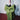 Vaso gufo L verde After Midnight